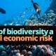 Biodiversity a Global Risk